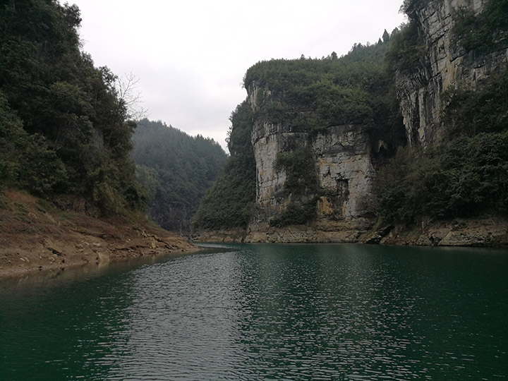 新澳门原料免费