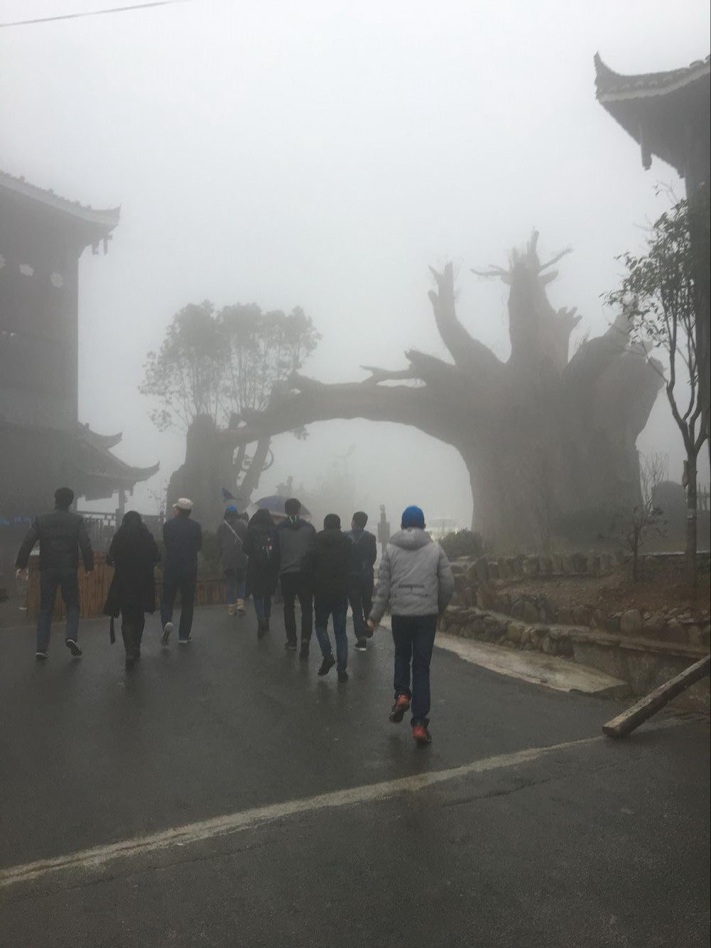 新澳门原料免费